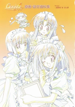 Page 95 of Canvas Visual Fan Book