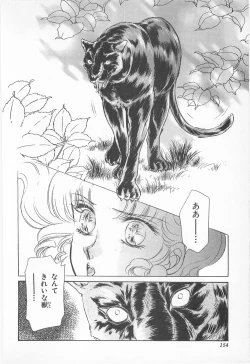 Page 154 of Midnight Panther Volume 2 JPN