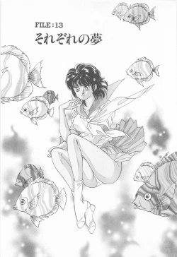 Page 33 of Midnight Panther Volume 3 JPN