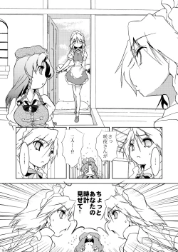 Page 28 of Cyclone Memory