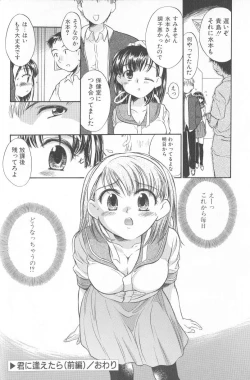 Page 20 of Kimi ni Aetara