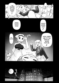 Page 4 of Illya with SellaLeys-bun Hokan Keikaku!!!