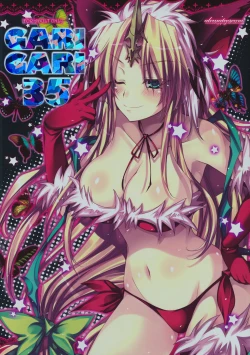 Page 1 of GARIGARI 35