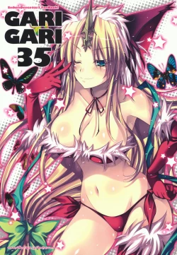 Page 3 of GARIGARI 35