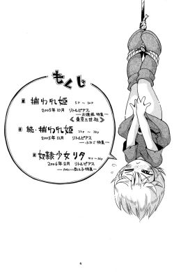 Page 4 of Toraware Hime Zenpen