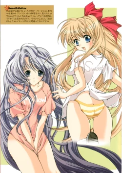 Page 12 of Colorful Sweets