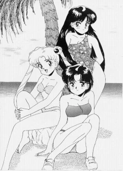 Page 13 of SAILOR MOON MATE 02