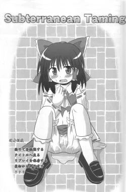 Page 2 of Subterranean Taming