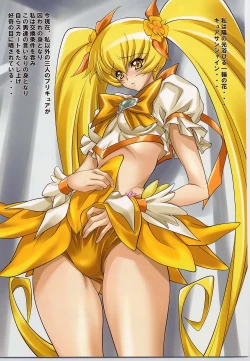 Page 4 of EGG PLANT SUNSHINE