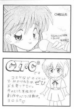 Page 161 of Project E 02