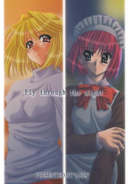 Page 1 of Fly through the night