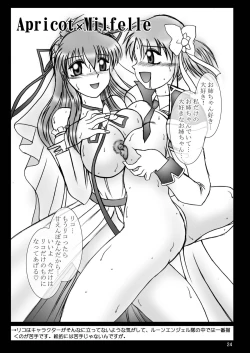 Page 25 of スタジオきゃうんコピー本総集編2007年版