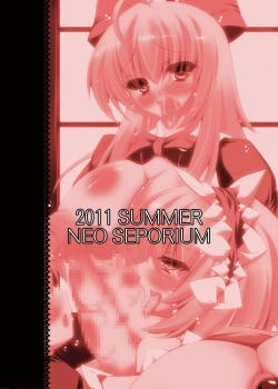 Page 28 of Shanghai Ningyou Ikusei Ron