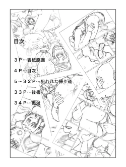 Page 3 of きろめ～とる33