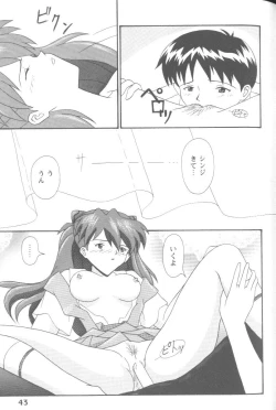 Page 43 of Project E 05