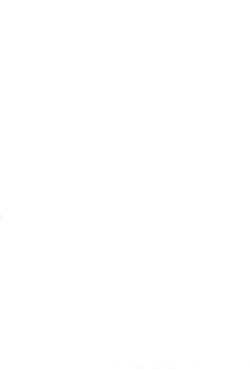 Page 2 of Yousei-san ga Ita Koro no Hanashi