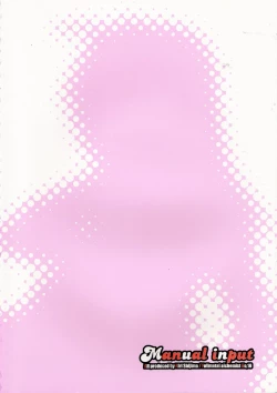 Page 20 of Manual Input