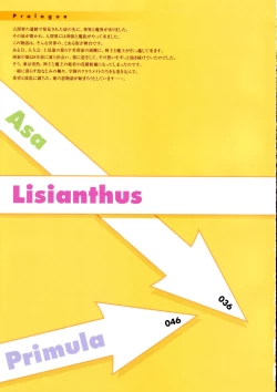 Page 4 of Shuffle! - Visual Fan Book