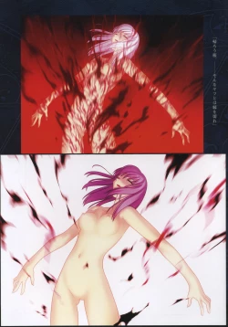 Page 109 of Fate/complete material I - Art material.