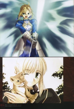 Page 19 of Fate/complete material I - Art material.