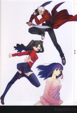 Page 224 of Fate/complete material I - Art material.