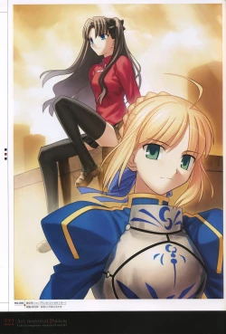Page 227 of Fate/complete material I - Art material.