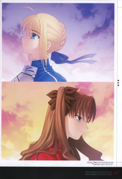 Page 252 of Fate/complete material I - Art material.