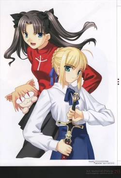 Page 258 of Fate/complete material I - Art material.