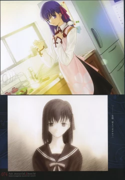 Page 79 of Fate/complete material I - Art material.