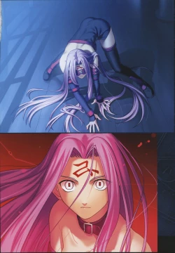 Page 86 of Fate/complete material I - Art material.