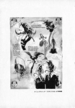 Page 162 of Beljevska no Shiro