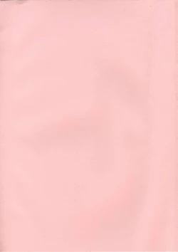 Page 12 of Libido7 DVD Visual Works