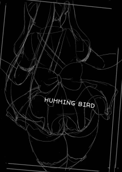 Page 3 of HUMMING BIRD