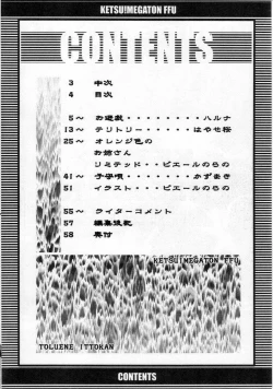 Page 3 of KETSU! MEGATON FFU
