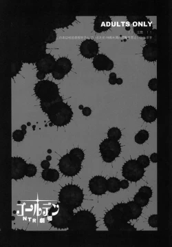 Page 4 of Golden NTR Gekijou