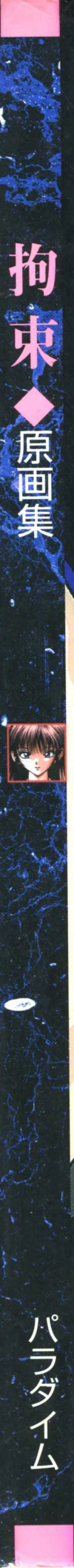 Page 3 of Art Pack 1 Kousoku Original Artworks