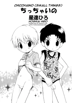 Page 1 of Chicchaino