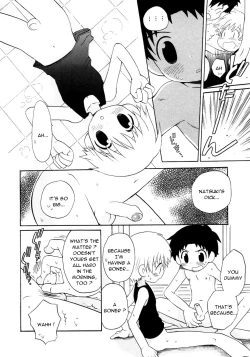 Page 4 of Chicchaino