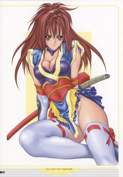 Page 29 of NAS-O illustration works