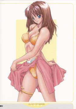 Page 31 of NAS-O illustration works