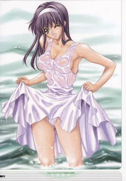 Page 41 of NAS-O illustration works