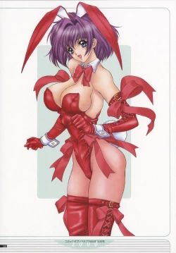 Page 45 of NAS-O illustration works