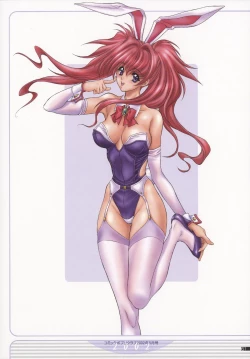 Page 64 of NAS-O illustration works