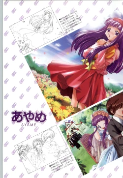 Page 61 of RISE Capture & Materials