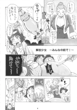 Page 3 of D.T.enmakun