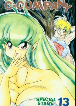 Page 1 of C-COMPANY SPECIAL STAGE 13