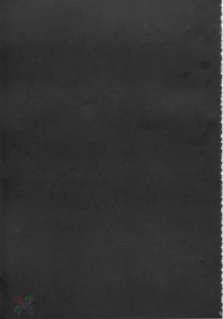 Page 51 of Ja Ja Ja Ja Japan 3