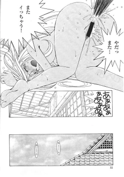 Page 31 of Midgard 11