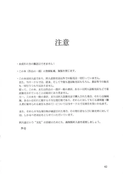 Page 41 of Midgard 11