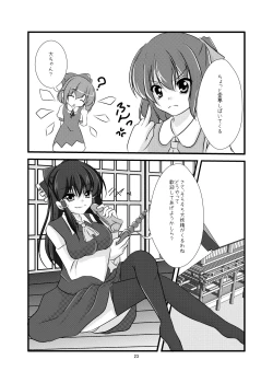 Page 23 of Cirno Urimasu